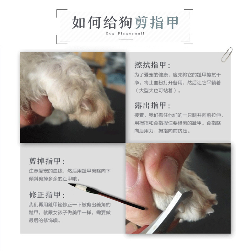 Cortauñas de gato cortaúñas antiarañazos especiales cortaúñas garra de gato conejo mascota perro suministros