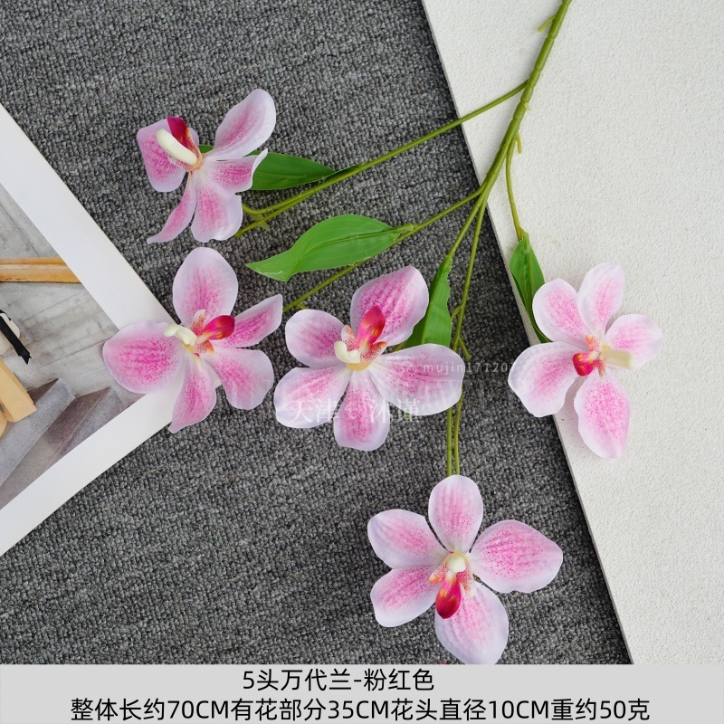 5 바이올렛