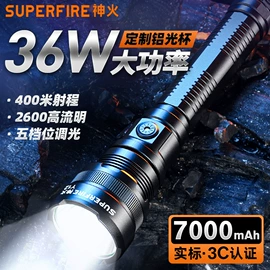 手电筒;头灯头戴电筒;野营/露营灯