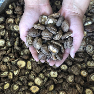 �㹽��؛�خa���㹽100g��؛���rĢ���������خaɽ؛ɢ�b50g���l