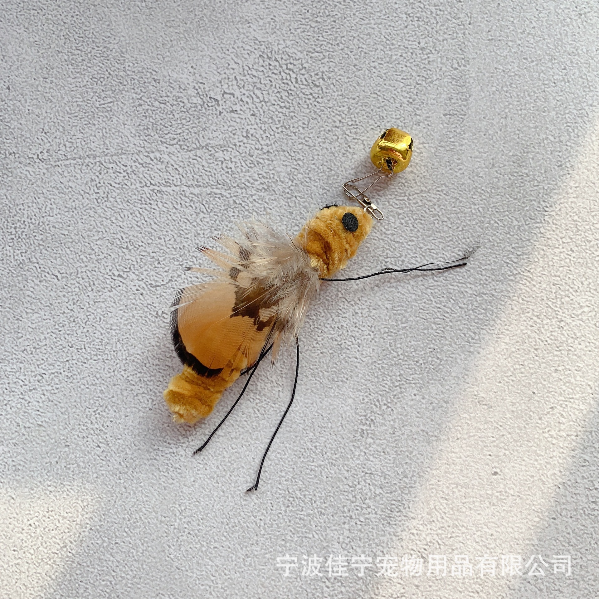 IMG_5791(20221209-035257)