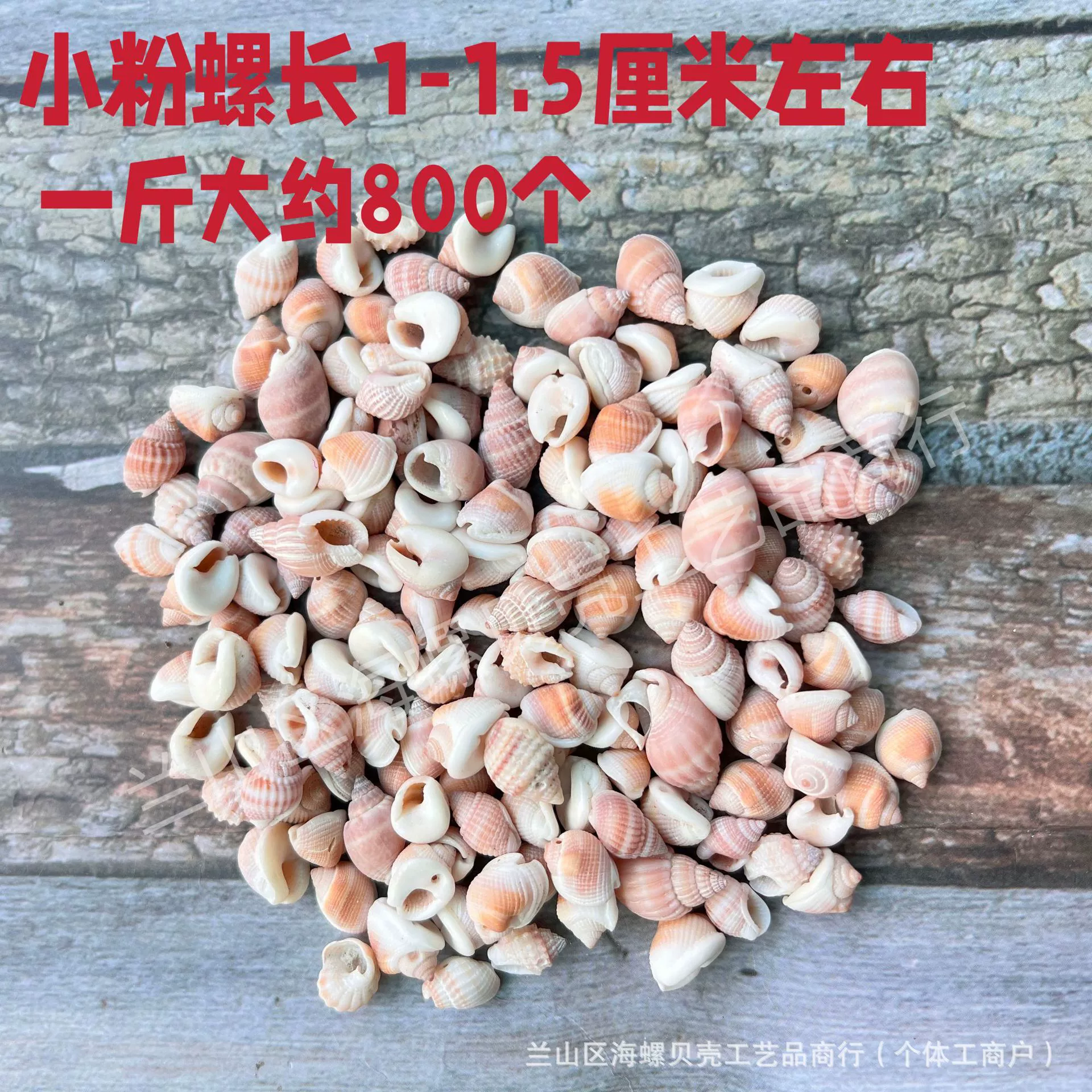 Shell Natural Shell Conch Stars Drifting Bottle Shell Crafts Wholesale Diy Handmade Shell Materials