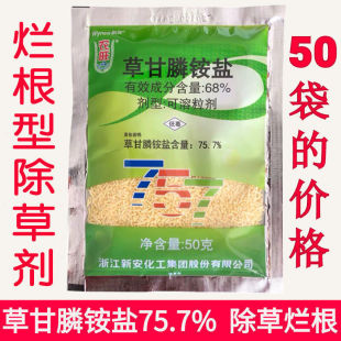 �r��757 �ݸ�좮������} �����Գ��s�݄����� �rș�ݸ��׳��݄�