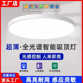 吸顶灯;智能夜灯;小夜灯