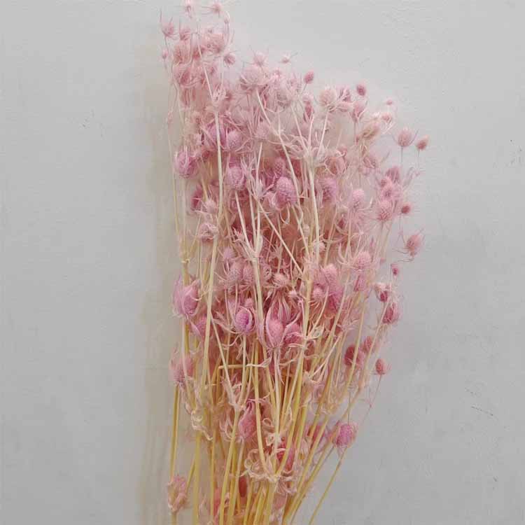 라이트 핑크 퍼플 [약 100]