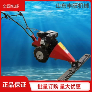 手推式园林剪草碎草机 电启动柴油割草机 果园适用剪草机