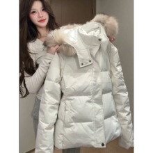 �����nϵ���ÿ���q�޷�Ů��2025�¿������@��С�����������\����