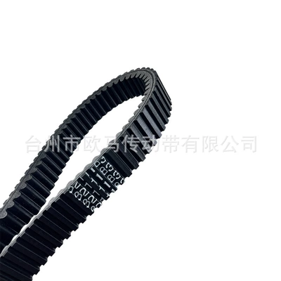 800 850 RMK, 3211183, Belt