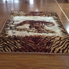 ���a�S�Ҍ��I�������᠖�����������Q���p��ë̺�羳�����S