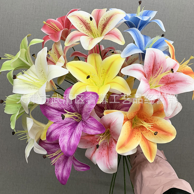 834050ce5806e9de0ef49b85b144ee