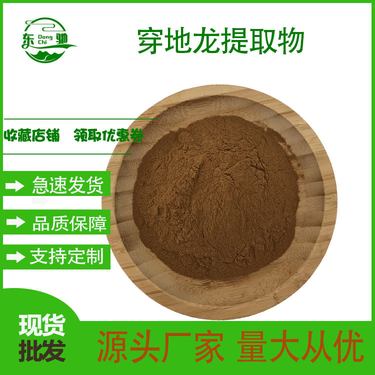 穿地龙提取物  穿地龙粉 穿地龙粉 东驰供应   现货