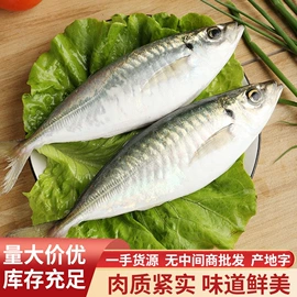 水产干货类;鱼类;贝类