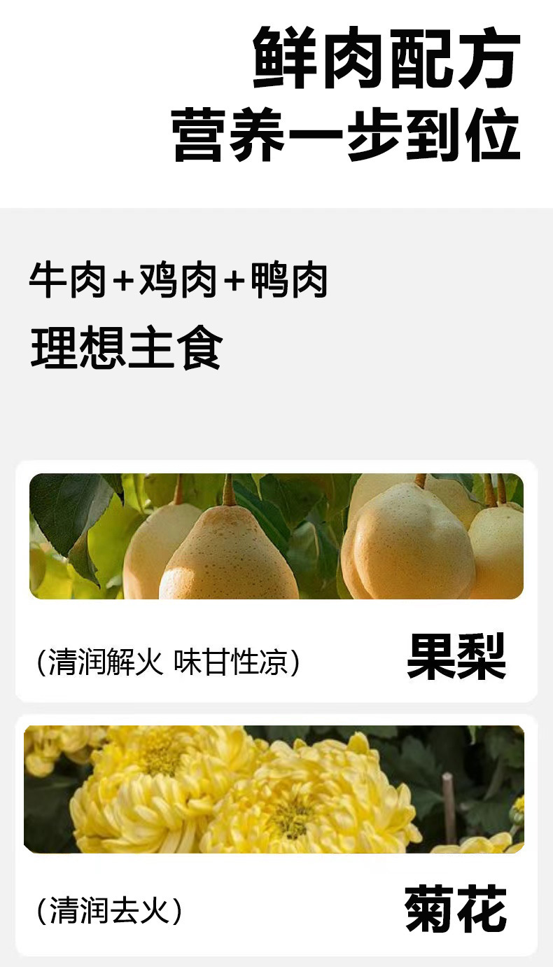 ba51e6bb-3907-4e8b-b6da-bd8428aab213.jpe