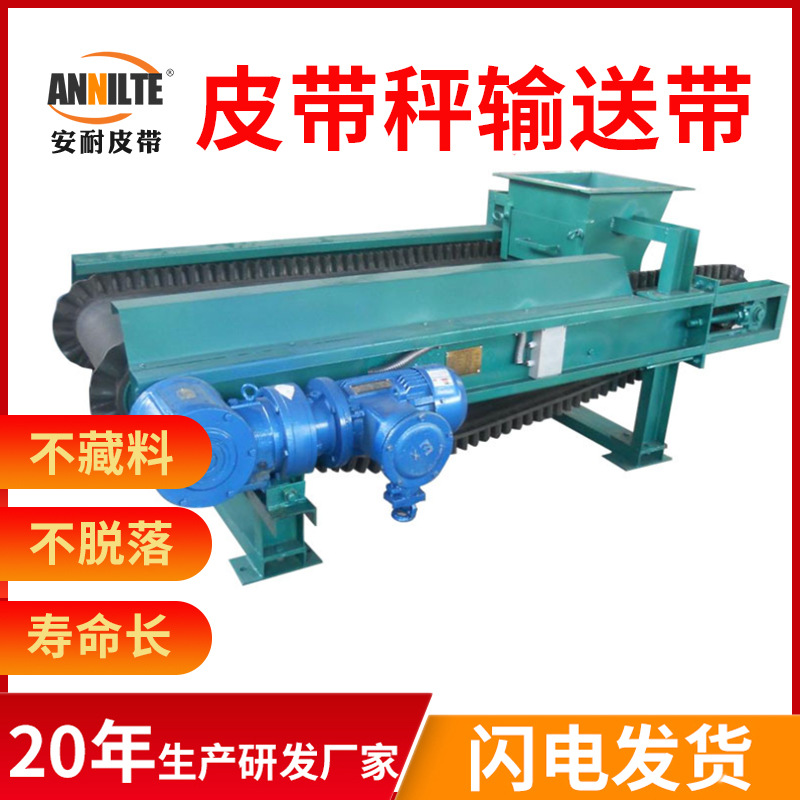 厂家供应计量皮带秤输送带环形传送带无缝防滑耐磨耐高温粮食
