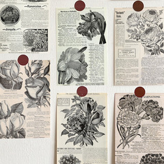 10 Retro European and American English Floral Postcards for Notes, Decor for Girls' Bedrooms, Walls, Homes, and Dorms