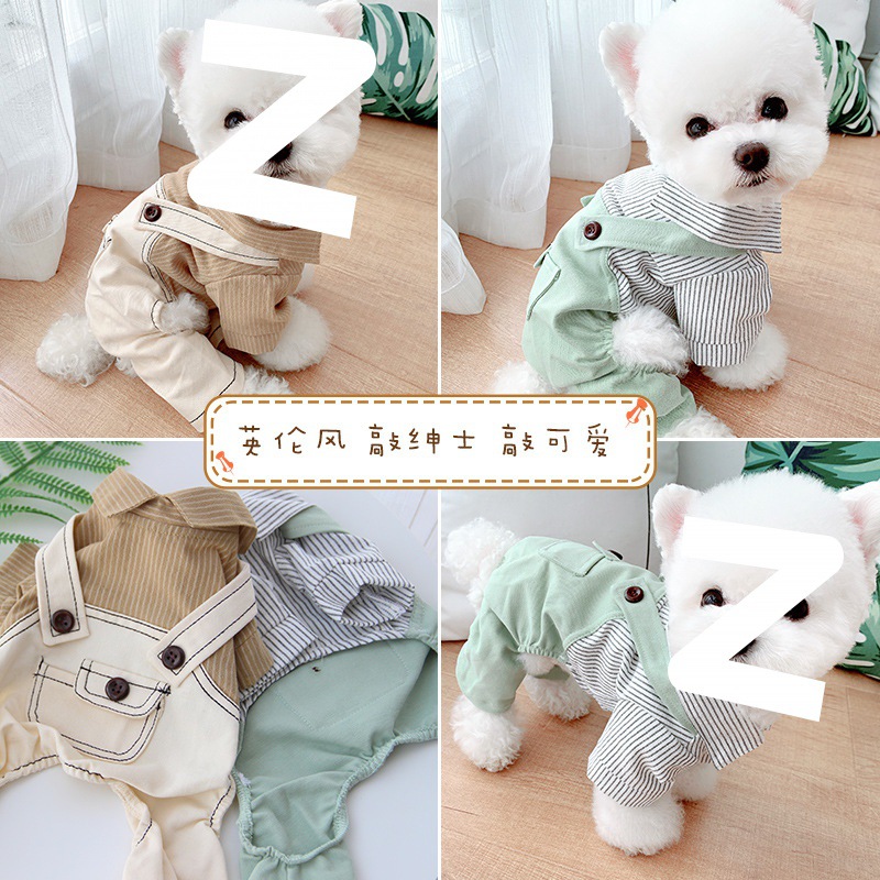 (2개) 강아지옷, 웃긴 퍼그옷, 웃긴 애완동물, 비숑프리제 소형견, 가을옷, 네발옷, 끈