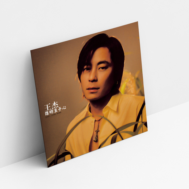 ビニールレコード蓄音機レコードビニールレコードプレーヤーディスク 12 インチ 33 rpm LP レコードレトロレコードプレーヤービニール|undefined