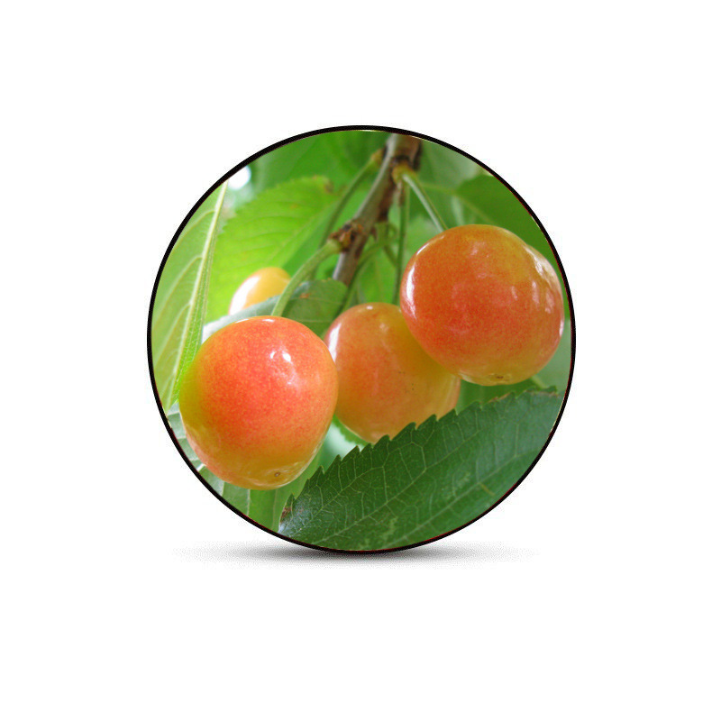 Pantallas LED redondas sin bordes al aire libre P2.5 impermeable pantalla de publicidad de marca corporativa