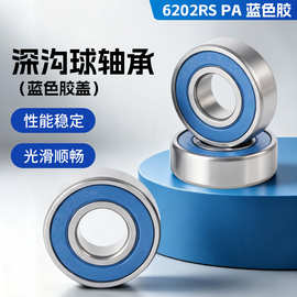 6202 RS PA蓝色胶盖深沟球轴承高精度高转速单面密封圈电机轴承