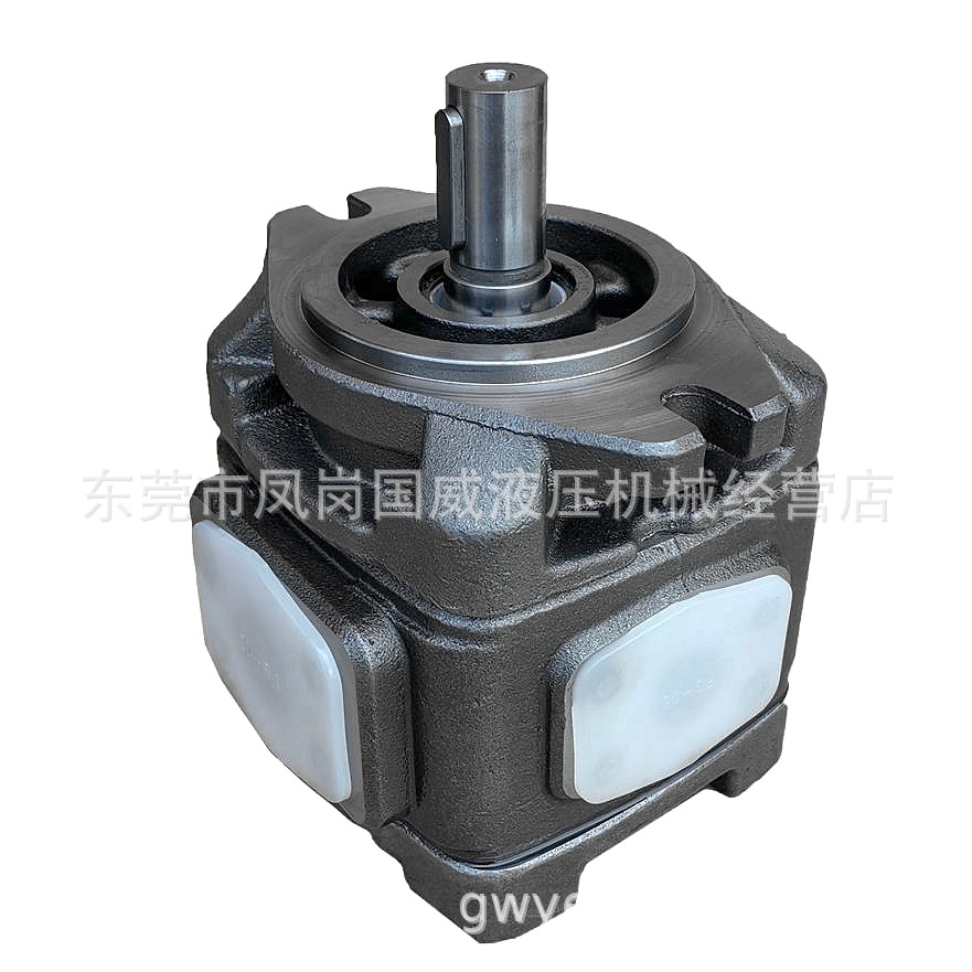 �ձ�����JPWORLD��������HG1-40 50 63�滻SUNNY ECKERLE������