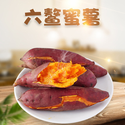 现货5斤装 福建六鳌红薯新鲜现挖香甜沙地蜜番薯红苕地瓜一件代发