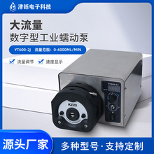 定制工业级蠕动泵YT600-2J调速型软管高精度大流量耐腐蚀恒流泵