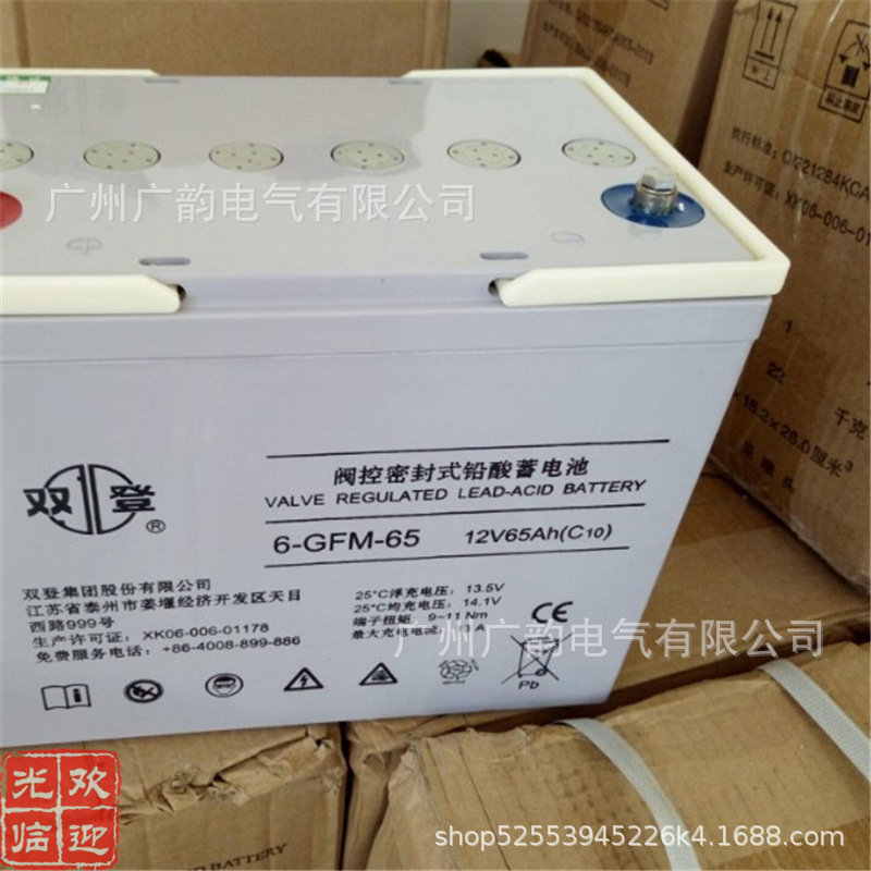 双登SHOTO 6-GFM-65双登蓄电池 12v65ah免维护铅酸 现货