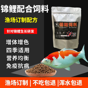 �\���~��������~�Z�������w���~С�w�������^�p�~ʳ�ߵ����ϸ�