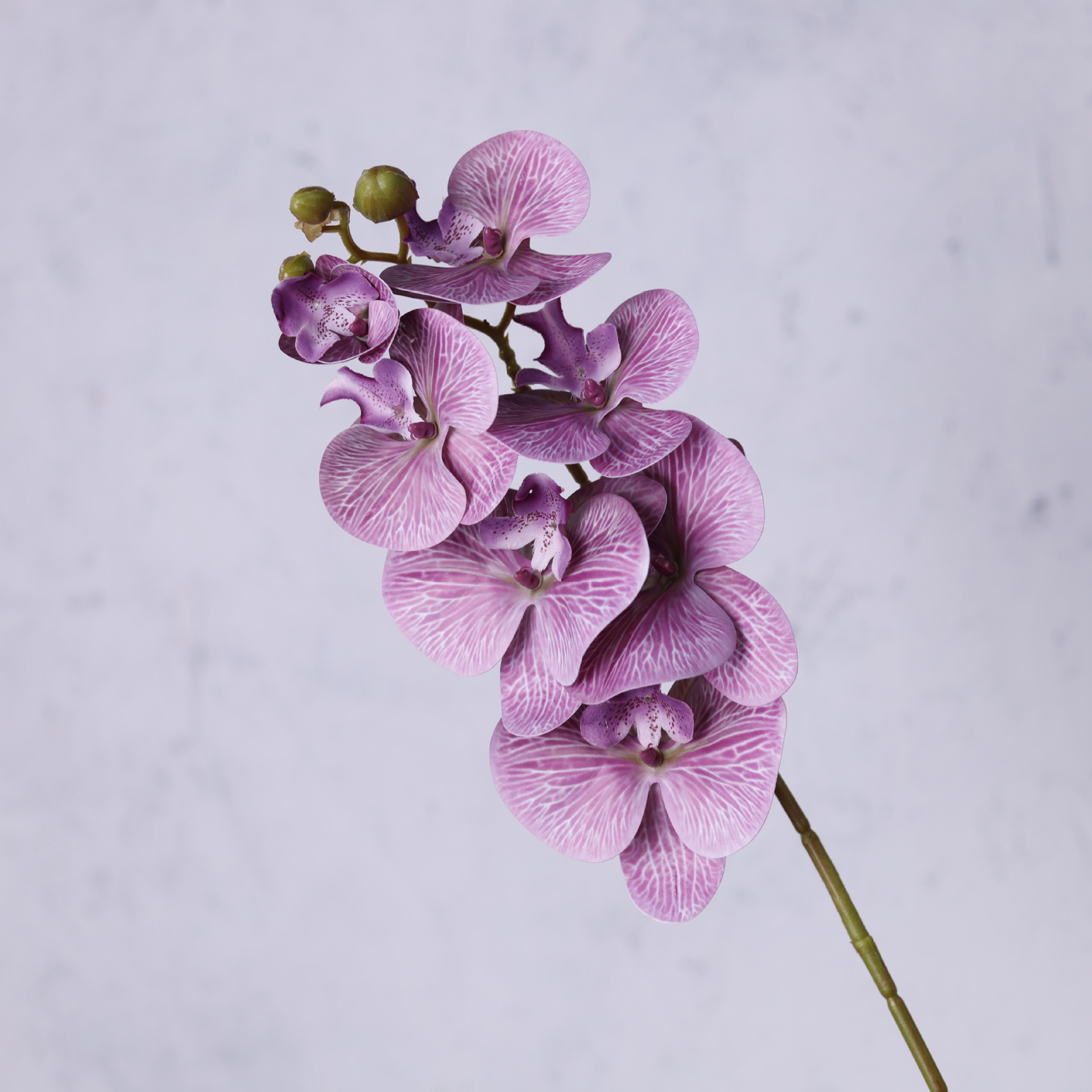 Impresión 3D de 7 cabezas de orquídeas mariposa flor de decoración de flores de alto nivel flor de nicho decoración floral decoración de sala de estar