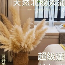 ��Ȼ�JȔ�ɻ��W�t�滨�͏d�[����Y������Ȕ�����������ins�[��