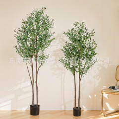 緑の植栽をシミュレーションして国境を越えてオリーブの木を着脱することができます。