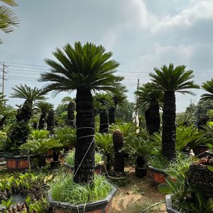 �V�|�F���辰���l �㽭�����F�� �������^�F��Nֲ