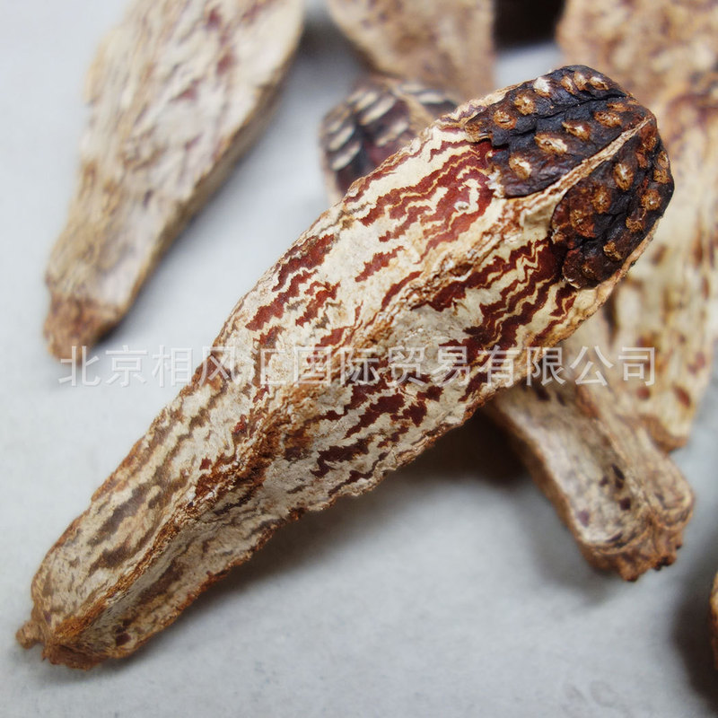 [Macadamia Fruit] Imported Dried Fruits, Dried Shells, Melon-Shaped Sticks, Carambola Fruit, Carambola Cores, Home Furnishings, Decorative Gifts