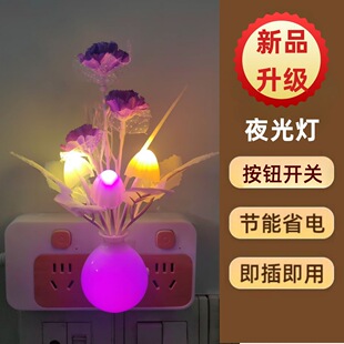 �羳 ˽ģ�����ز���_�PLED�����߲�Сҹ�������������������l