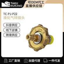 拓村黄铜煤气液化气转接头配件不适用台湾瓦斯罐