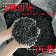 天然生油葵小瓜子牡丹玄凤鸽粮仓鼠红花籽鸟食黑珍珠鹦鹉饲料鸟粮