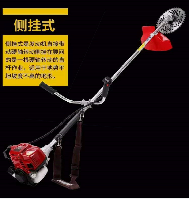 微信图片_20240723103508.png
