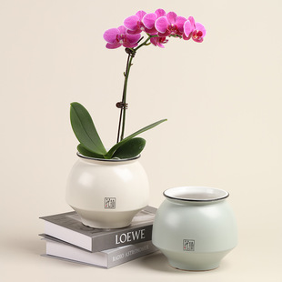 ���W���ֵ�����m����ҾӾGֲ�肀�Ԯ����մ����������b[��