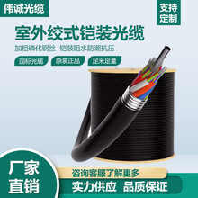 ����GYTA/GYTS��ģ���|12/24/48/720/144/288о�z�b���|���w��