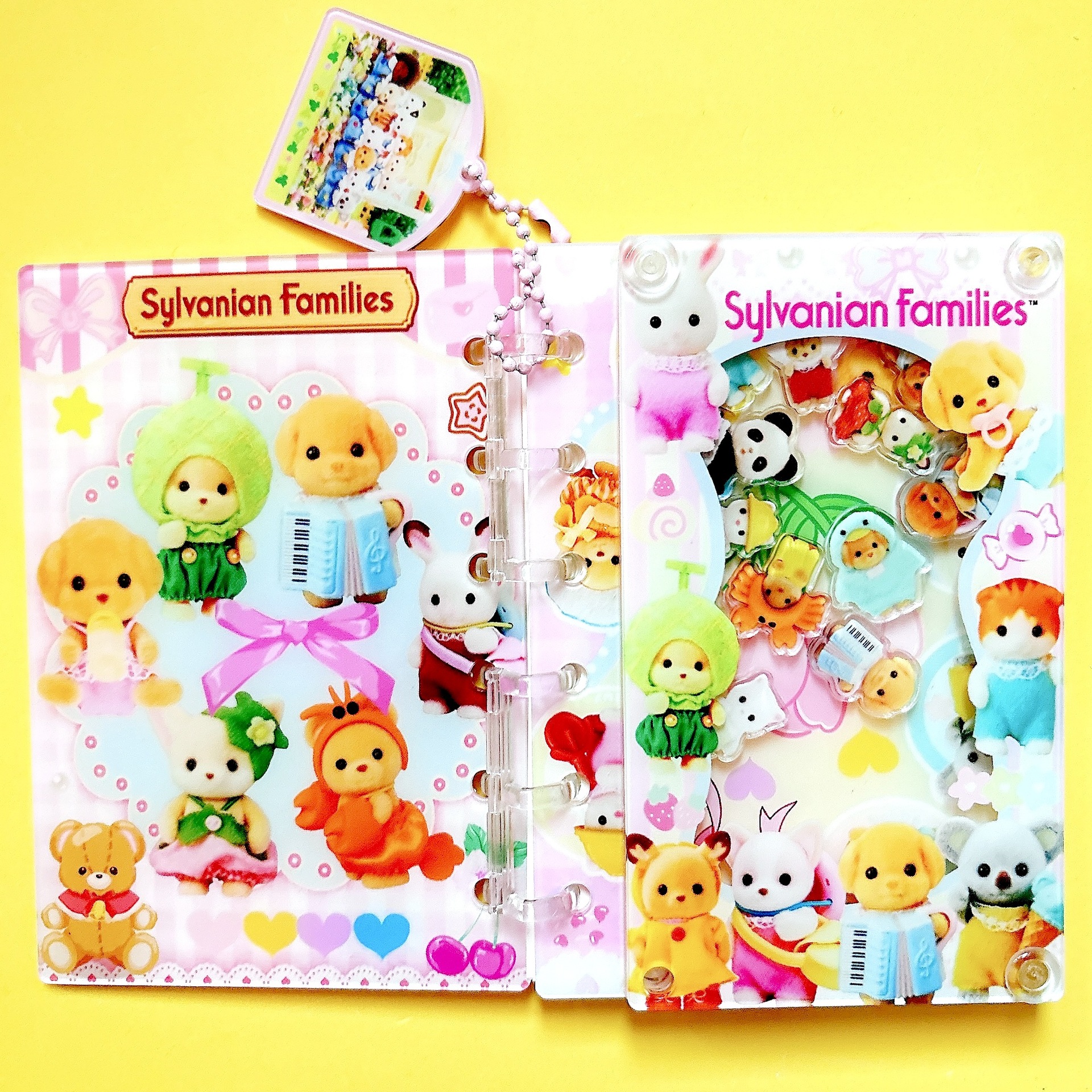 54種類の揺れるアクリルノート、クロスボーダーで人気のTikTokで話題の美しいルーズリーフノート、DIY A7/A5