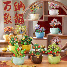 ���꼪�����вƻ���΢������ľ������������������С�ڼ��������