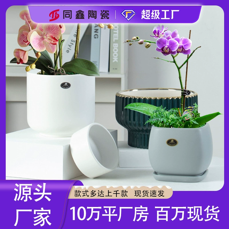 Скандинавский творческий простой нерегулярный керамический горшок кактус Gardenia Phalaenopsis цветочный горшок контейнер трансграничный эксклюзивный