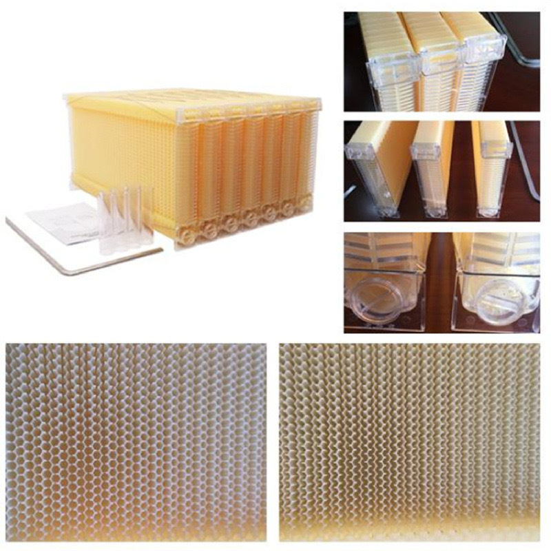 微信图片_202412121719173