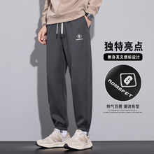 帅气百搭刺绣哈伦裤男冬新款百搭爆款时尚潮牌青年流行休闲运动裤