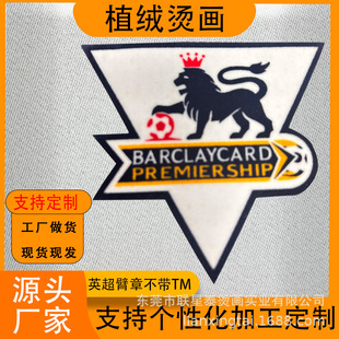 ���Dӡ���wֲ�q�C���N���±�� C��Ӣ�����bӡ��logo�ӹ��������l