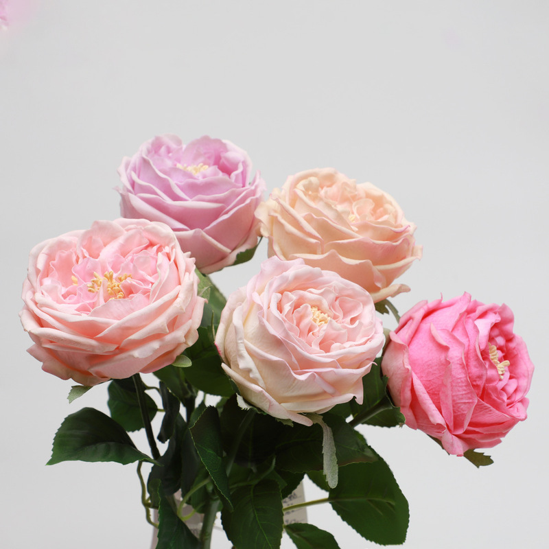 Artificial Austin Rose Flower with a Realistic Touch and Moisturizing Effect, Single-Headed, Decorative Fake Bouquet, Floral Ornament, Ins-Style