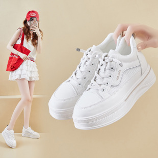 2026�ļ�С��Ь�¿��n��insŮ�W��������߾W��͸�����eЬYT2067