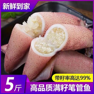 �r���������ӝM�����r����С�P���~���~��ī�~���\1��5�����l