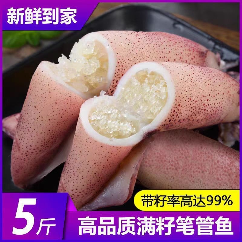 鲜冻乌海兔子满籽新鲜带籽小笔管鱼鱿鱼仔墨鱼乌贼1斤5斤批发