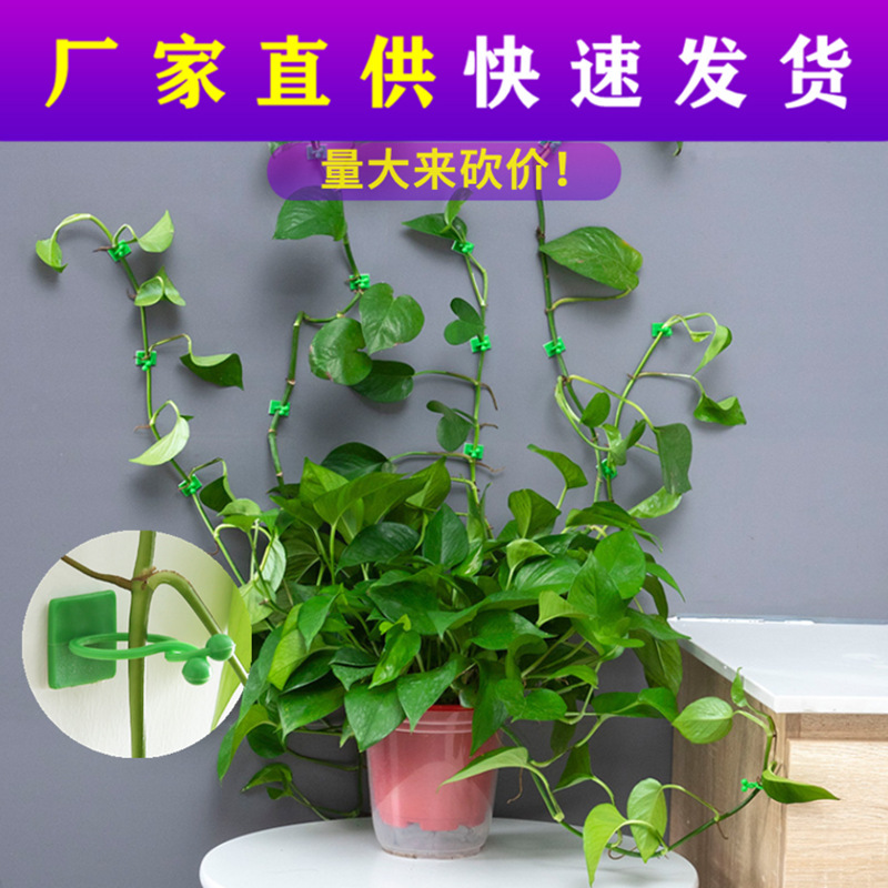 Green Rose Climbing Wall Fixer Green Plant Climbing Clip Traceless Card does not hurt the Wall Hook Snap Strong Household Punch-Free